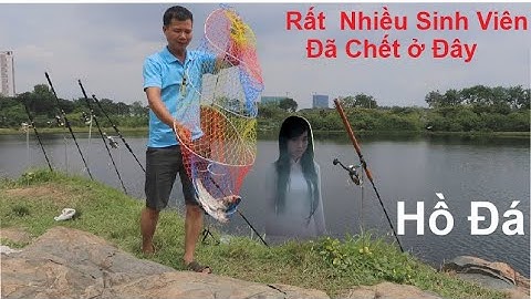 Câu Cá , Hồ Đá Làng Đại Học Quốc Gia / Hồ Đá Làng Đại Học / Làng Đại Học Quốc Gia -  Tôm lang thang