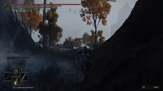 ELDEN RING Easily Get To Secret Boss Caelid - Hidden Area
