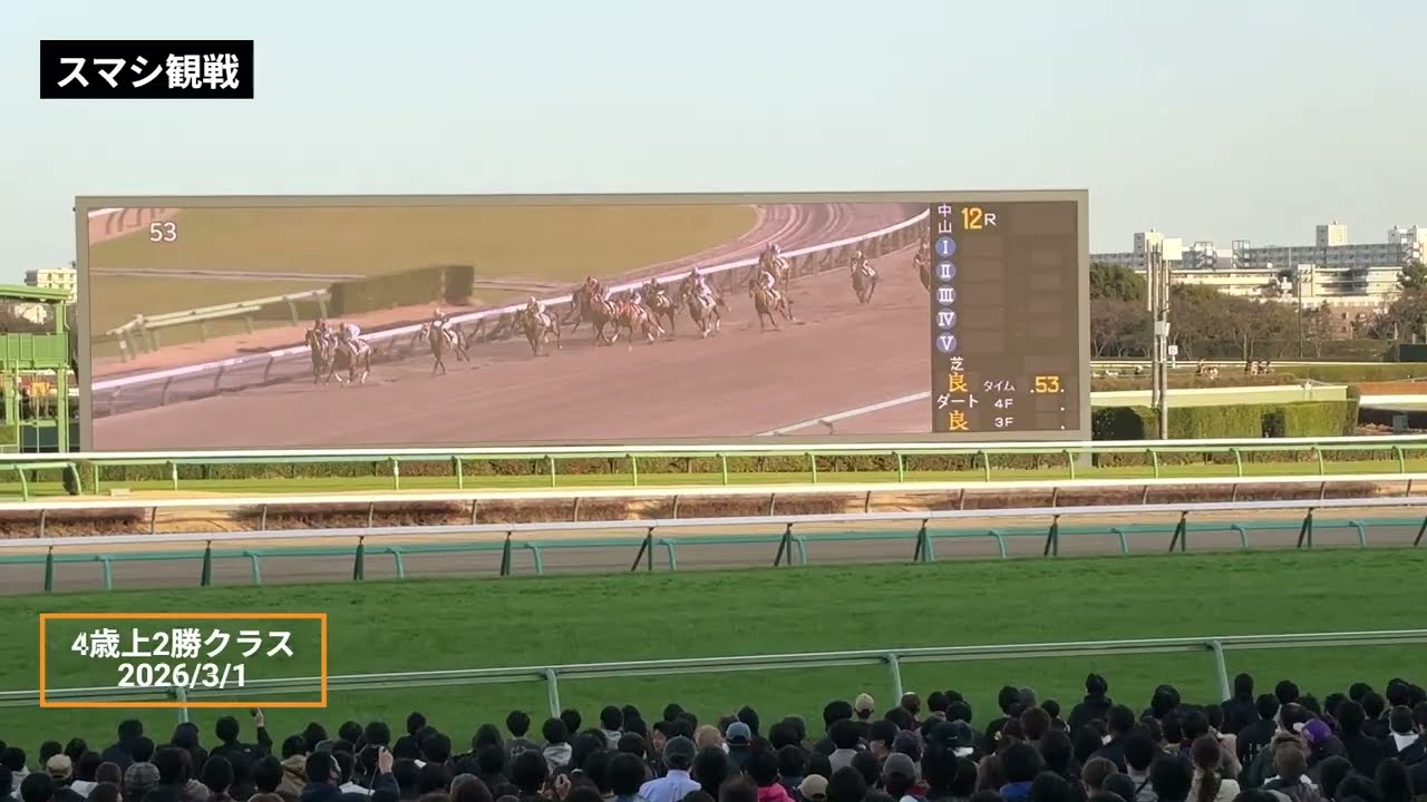 2026年3月1日 | 中山12R 4歳上2勝クラス | ラストシャリナ | ビッグドリーム | キョウエイカンフ | 現地レース映像 | 中山競馬場 | スマシ観戦  | ダート1,200