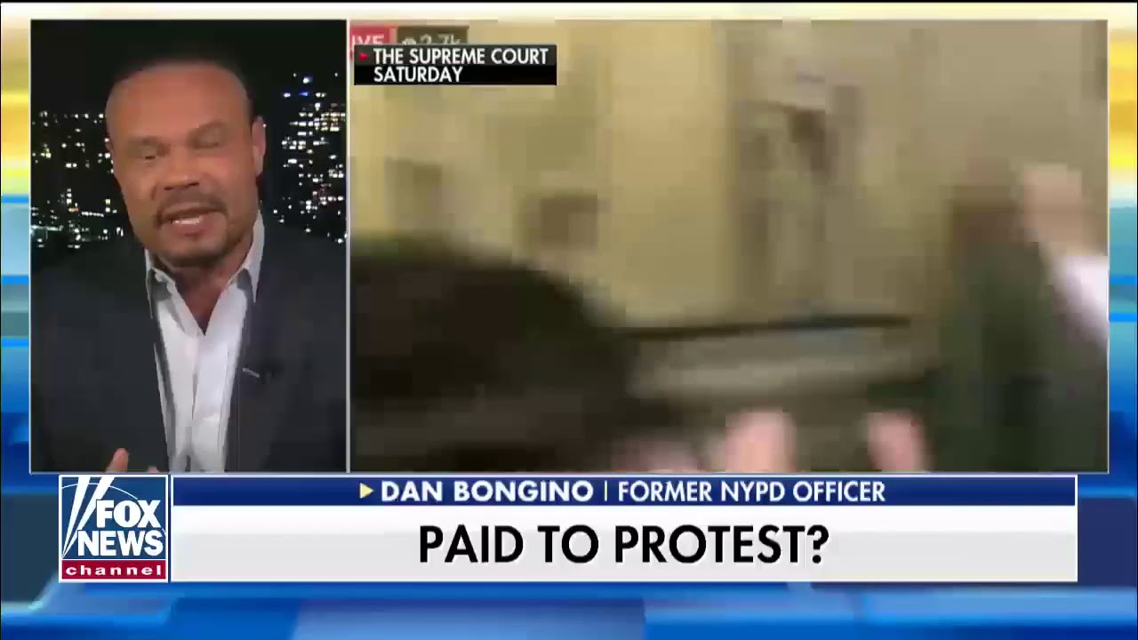 Bongino: Left learned to give impression they’re somehow the majority opinion, when they are not