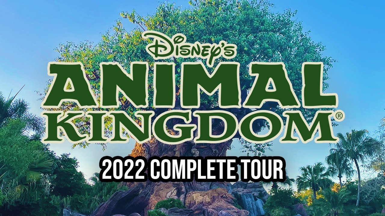 Disney's Animal Kingdom 2022 Walkthrough with Ride POVs YouTube