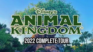 Disney's Animal Kingdom  2022 Walkthrough with Ride POVs