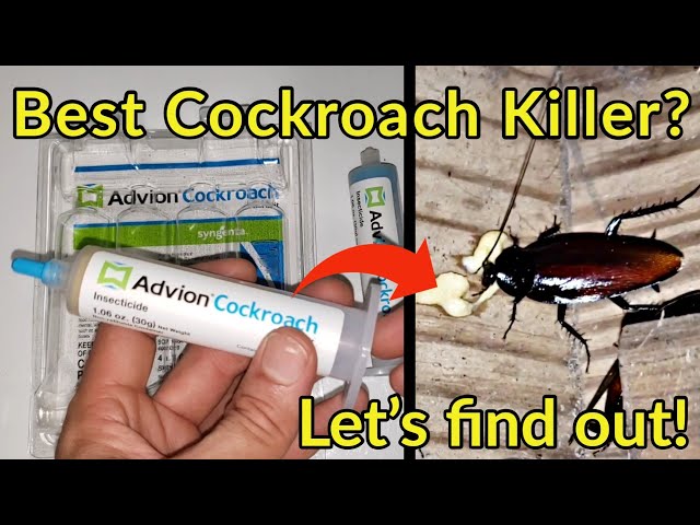 Does Advion Cockroach Gel Work? Let's see the proof!