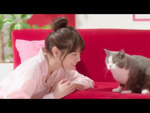 美人CM ななせまるのセリフ読みが棒でも可愛いからいいんですwww 白石麻衣＆西野七瀬 アイペット損害保険