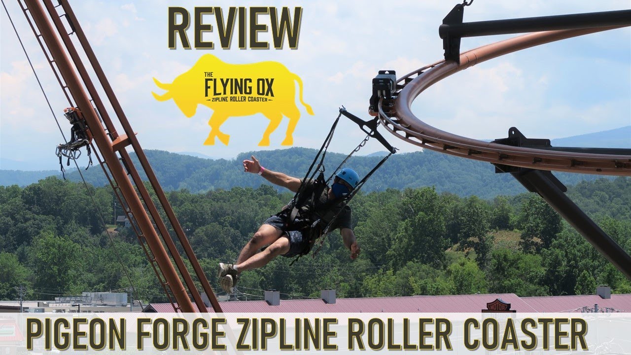 Flying Ox Zipline Coaster Review, Paula Deen's Lumberjack Adventure