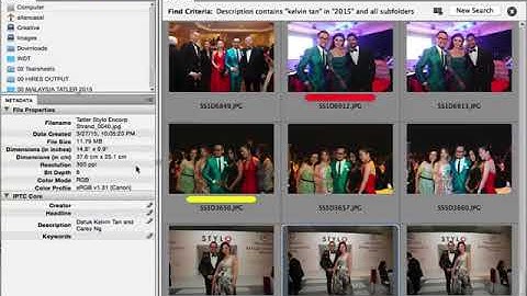 Search in Adobe Bridge
