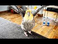 Youtube Thumbnail title