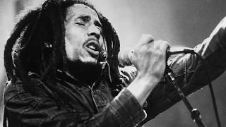 Bob Marley - Roots Rock Reggae