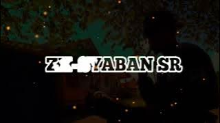 DJ.mof city.teman munafik remix 2022.by.zx-syaban