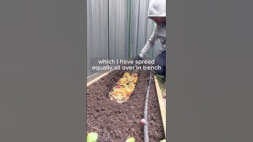 How to decompose kitchen scrap, making compost