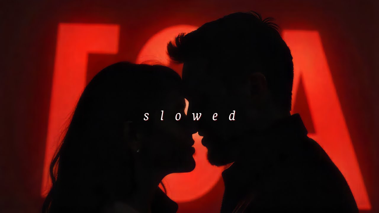 Never loved anyone the way I love You (playlist) Never loved anyone the way I love You (playlist)