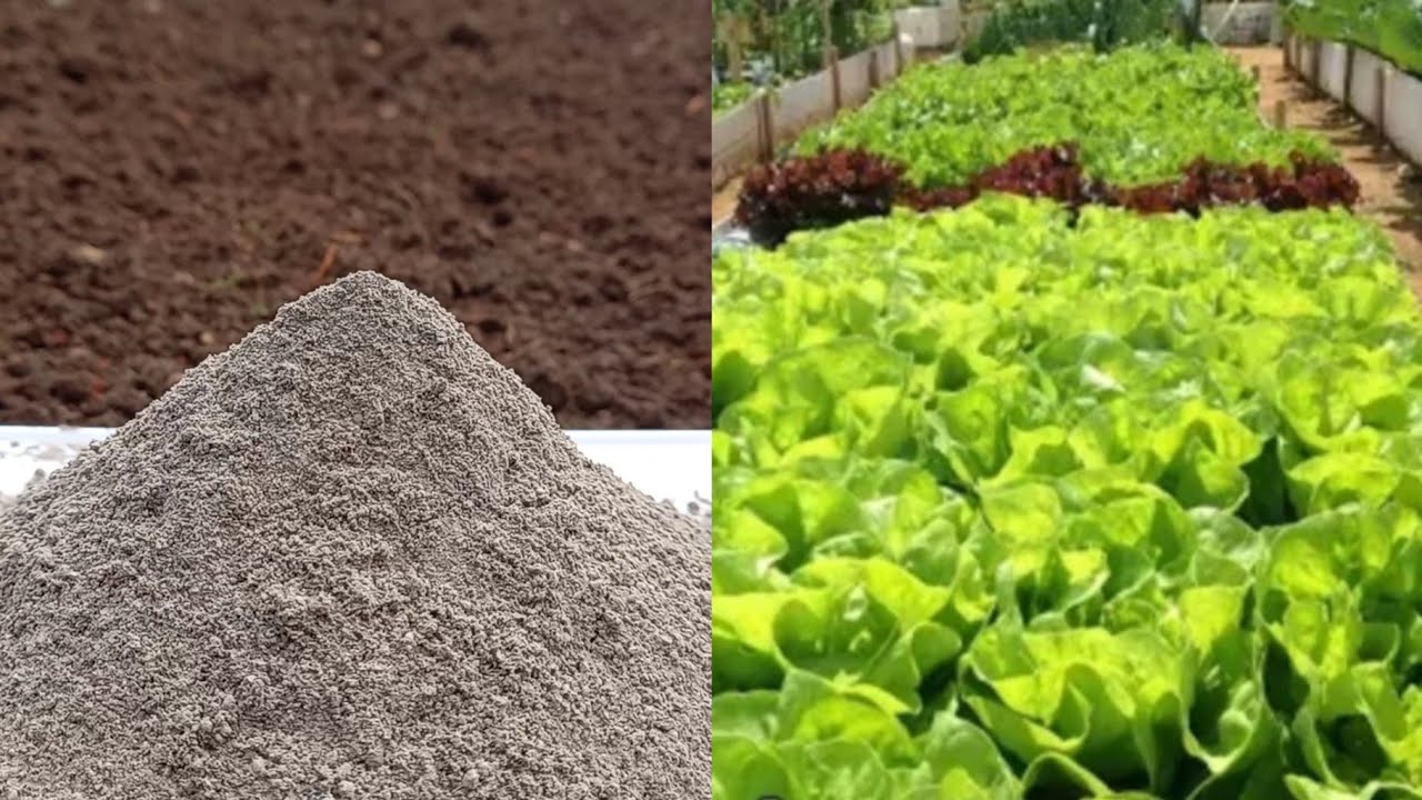 Como usar o Calcário em sua Horta, da Maneira Certa para sucesso no Cultivo