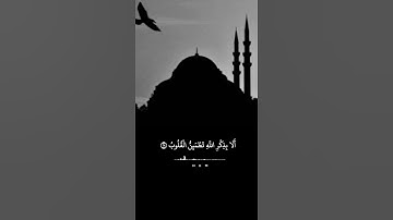 #ارح_سمعك #الشيخ #ماهر_المعيقلي #الله #ارح_قلبك #راحة_نفسية #قران_كريم #تلاوة_خاشعة #سبحان_الله