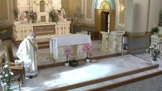 St .Patrick -  O'Neill, NE :Mass Live Stream
