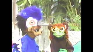Under the Umbrella Tree: Changing Places