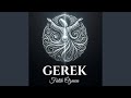 Gelsin 