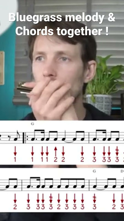 Killer bluegrass harmonica melody! #bluegrass #harmonica #melody #bluegrassmusic #harmonicaplayer