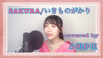 【歌ってみた】SAKURA/いきものがかり covered by 小嶋紗里(Full歌詞付き）