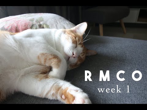 Malaysia Recovery Movement Control Order (RMCO) Week 1 Vlog