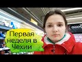 Первая неделя в Чехии. Подготовка к детскому саду, покупки в Кауфланде. Облагораживание квартиры