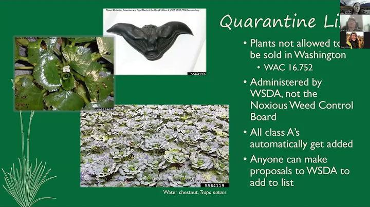 Pulling Together to Prevent and Stop Noxious Weeds in Washington Webinar