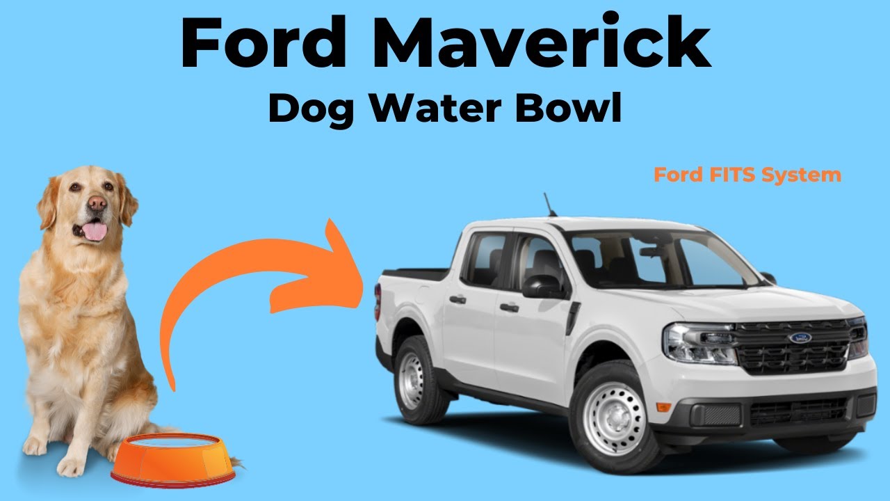 Ford Maverick Dog Water Bowl
