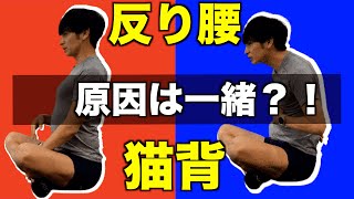 リブトレ解説！反り腰と猫背の原因は一緒！？その原因と改善方法をお伝えします。