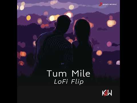 TUM MILE ( LOFI FLIP )💞💖💞