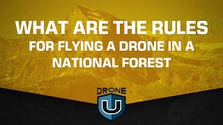 What are the rules for flying a drone in a National Forest?