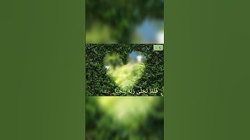 ﴿ قَالَ رَبِّ أَرِنِي أَنظُرْ إِلَيْكَ ۚ﴾- القارئ: إدريس أبكر. #قرآن