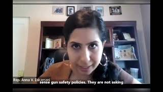Rep. Eskamani Speaks at House Democratic Press Conference On Permitless Carry