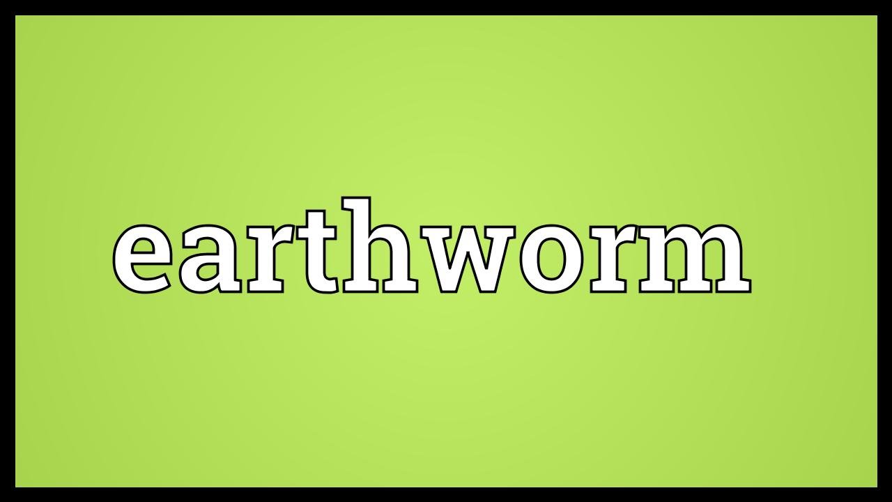 Earthworm Meaning 