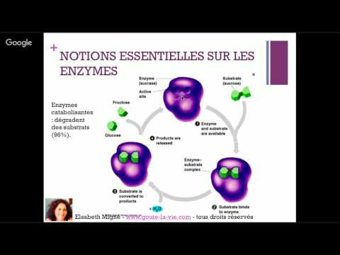 L'alimentation ou la 3ème médecine. Partie 1