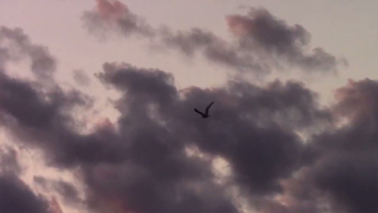 tender spring - Circulation