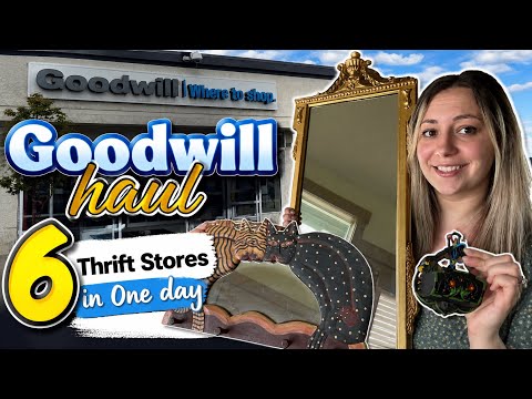 Goodwill Haul | 6 Thrift Stores in One Day | Should I get an antique booth?