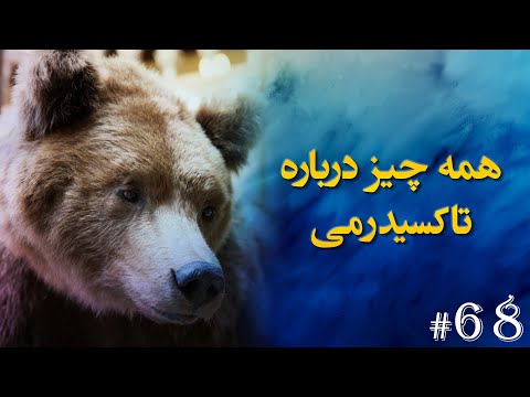 تصویری: آیا یک انسان را تاکسیدرمی می کنید؟