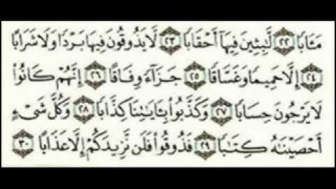 ناصر القطامي سورة النبأ