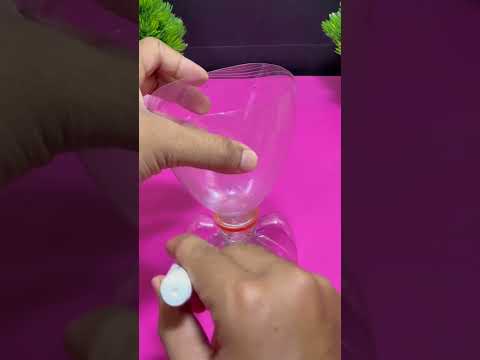 science project for