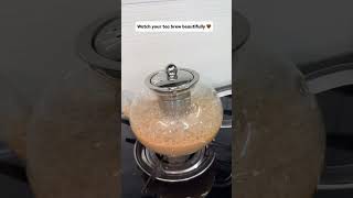 Borosilicate Glass Teapot….#kitchen #reelitfeelit #reelkarofeelkaro #reelkarofee #explore #viral