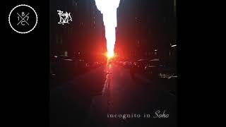 Funky DL - Turbulent Serenity - Incognito In Soho (2017)