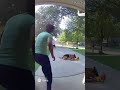 Hero Dog Saves Boy From Speeding Van | One Second From Disaster! 🚨🐕