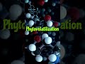 What Is Phytovolatization?#sciencefacts#nature#plantphysiology#didyouknow #viralvideo#extraction