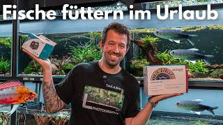 Fische füttern im Urlaub