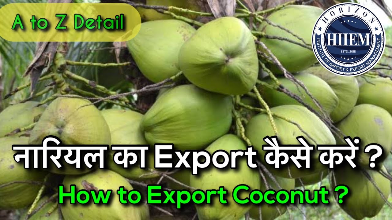 How to Export Coconut From India | A To Z Detail Export Coconut | By ...