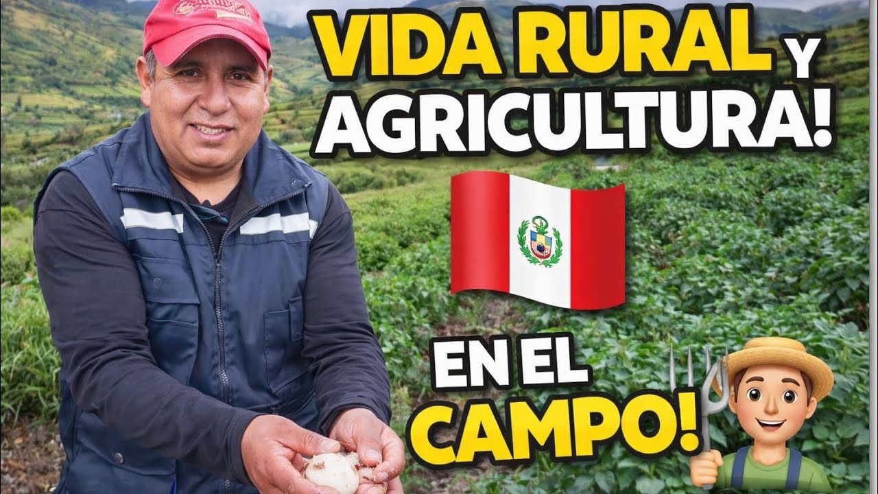 ❗Así crece la papa en las alturas del Perú(CUSCO)