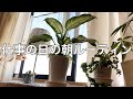 【morning routine】仕事に行く日の朝のルーティンです【アラフォー母】
