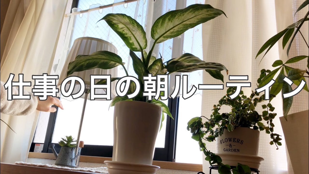 【morning routine】仕事に行く日の朝のルーティンです【アラフォー母】