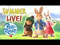 🔴  Peter Rabbit - Hours of Adventures LIVE!