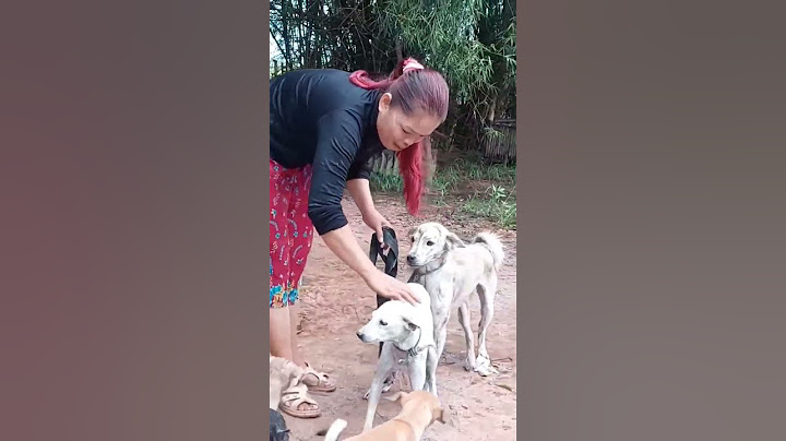 Beautiful female dog breeder