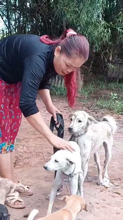 Beautiful female dog breeder